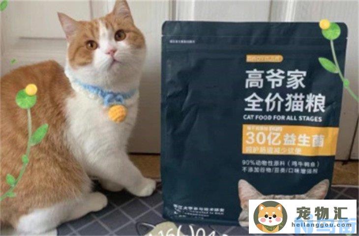 性价比高的猫粮排行榜 质量好又平价的有哪些