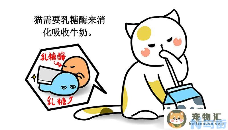 刚出生小猫可以喝纯牛奶吗(刚出生小猫可以喝纯牛奶吗)