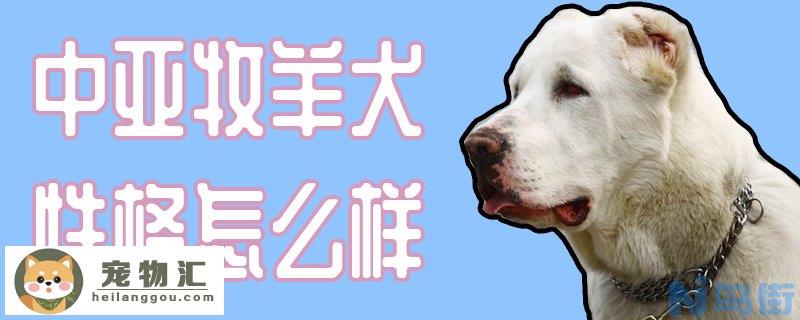 中亚牧羊犬性格怎么样