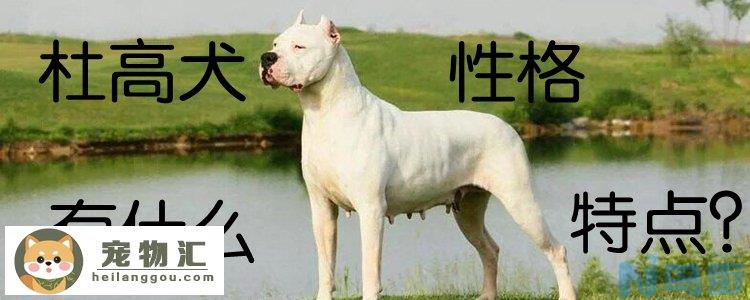 杜高犬性格有什么特点