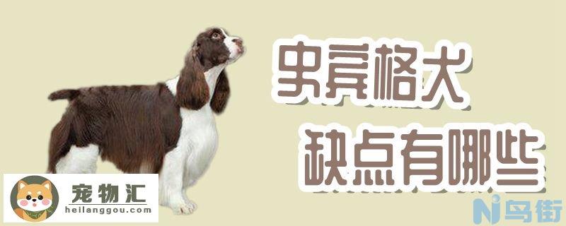 史宾格犬缺点有哪些