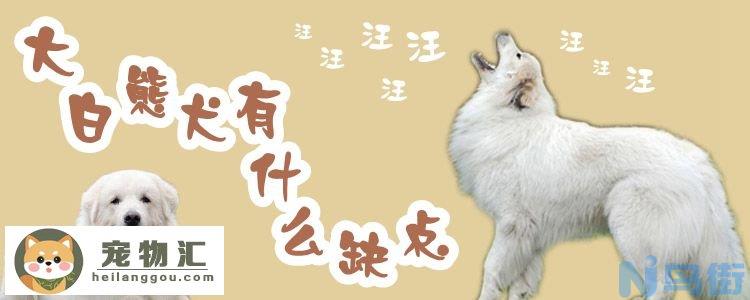 大白熊犬有什么缺点