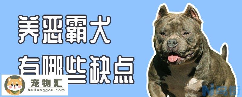 养恶霸犬有哪些缺点