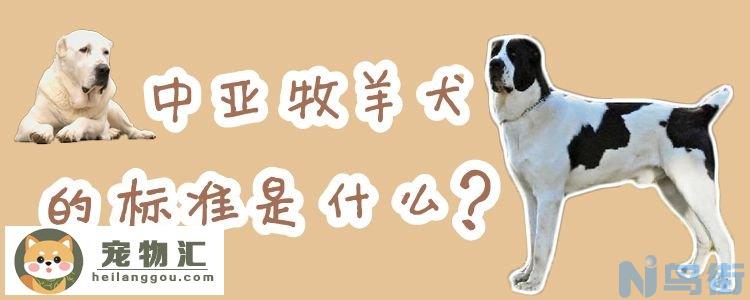 中亚牧羊犬的标准是什么