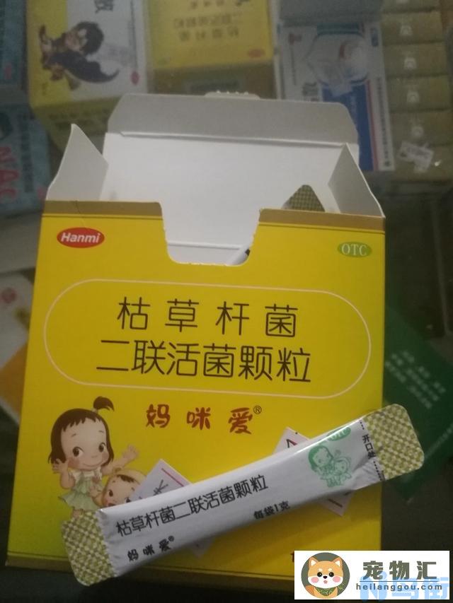 狗狗拉肚子拉血吃什么食物(狗狗拉肚子吃什么东西最好)