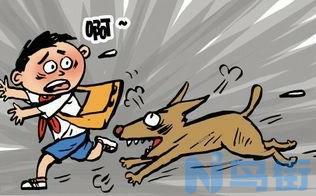 狂犬病潜伏期多久？