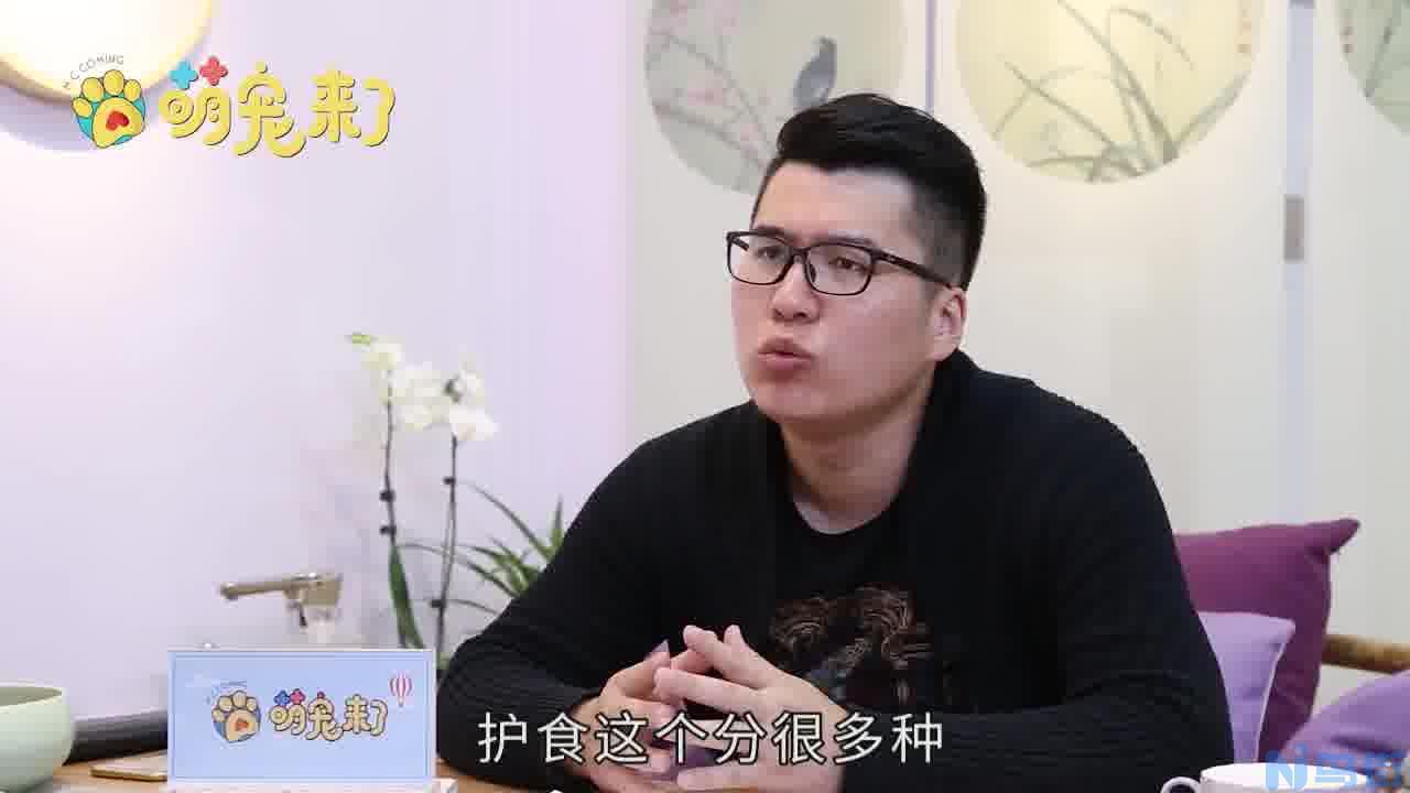 3个多月金毛一顿喂多少狗粮？