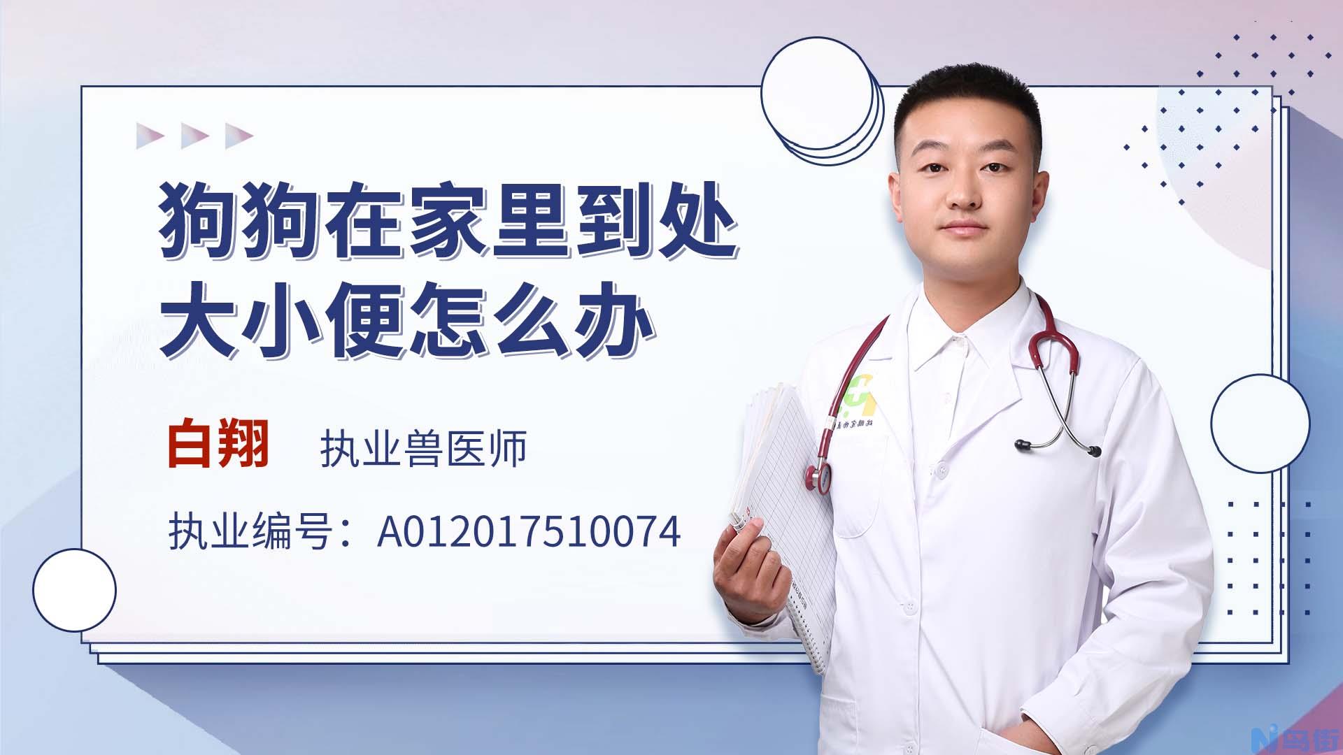 狗翻肠子怎么办？