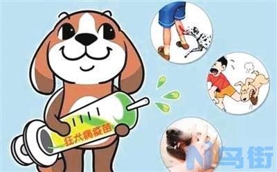 狂犬病能治吗？