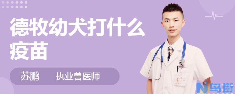 幼犬为什么容易得犬瘟和细小？