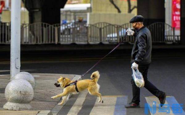 猫的饮食习惯和遗传有关系