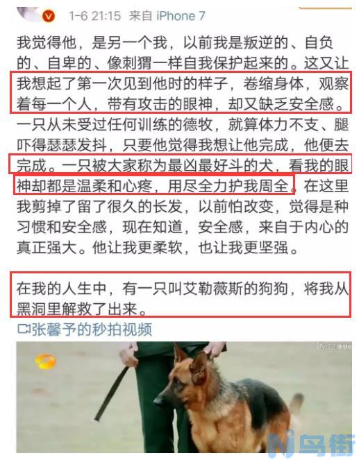 德牧犬的优点和缺点？