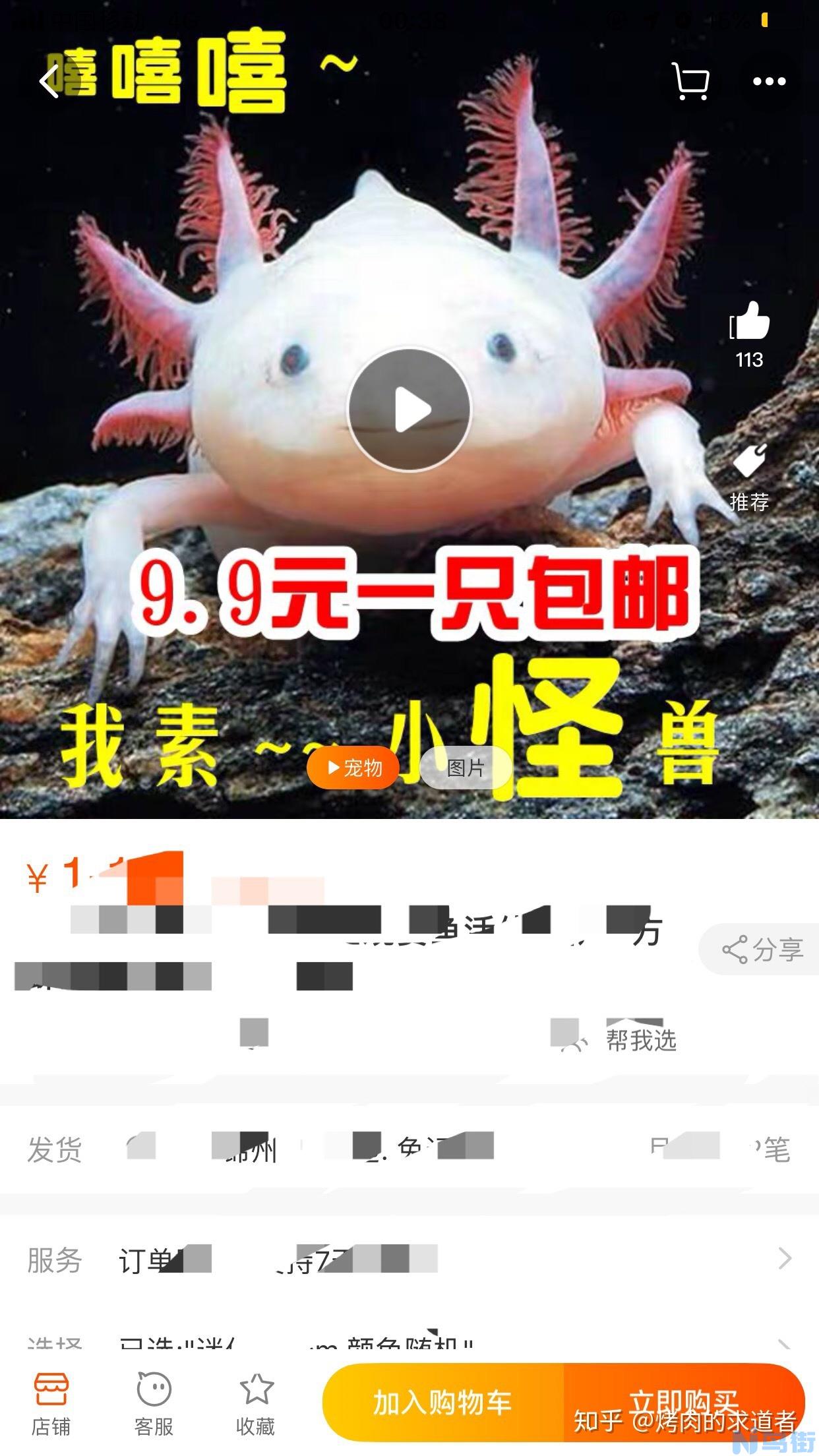 六角龙鱼吃什么？