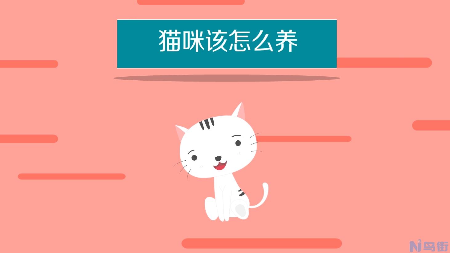 猫咪能吃花生吗？