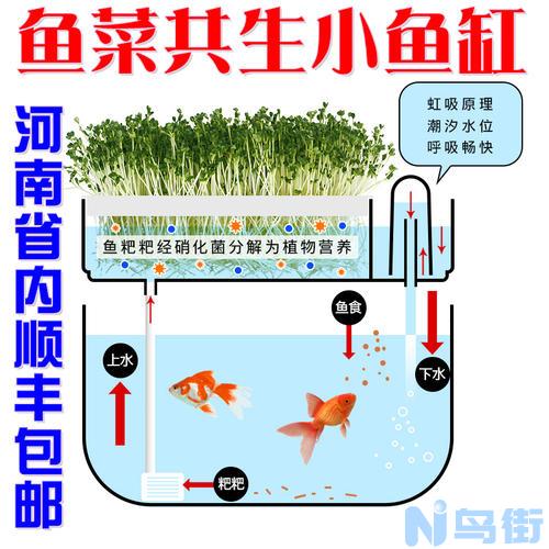 鱼缸换水的正确方法？