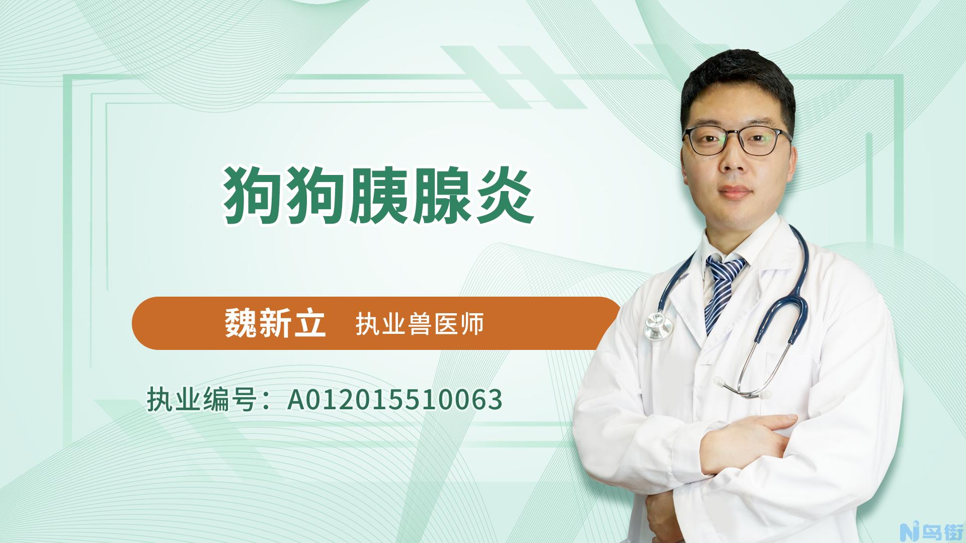 狗狗胰腺炎的症状表现？