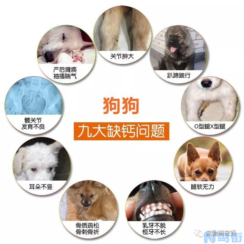 狗狗缺钙的症状？