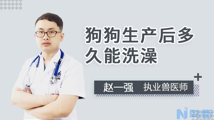 狗狗生产后多久能洗澡？