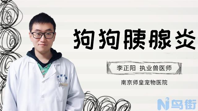 狗狗胰腺炎吃什么药？