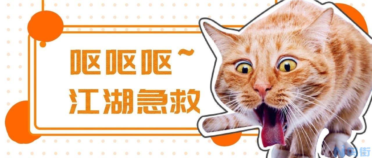 猫心丝虫怎么预防？