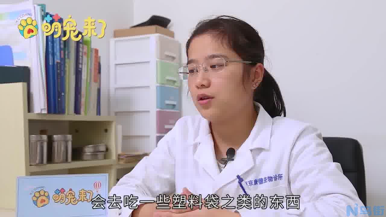 狗狗关节炎症状有哪些？