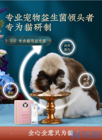 猫咪肠胃不好怎么调理？