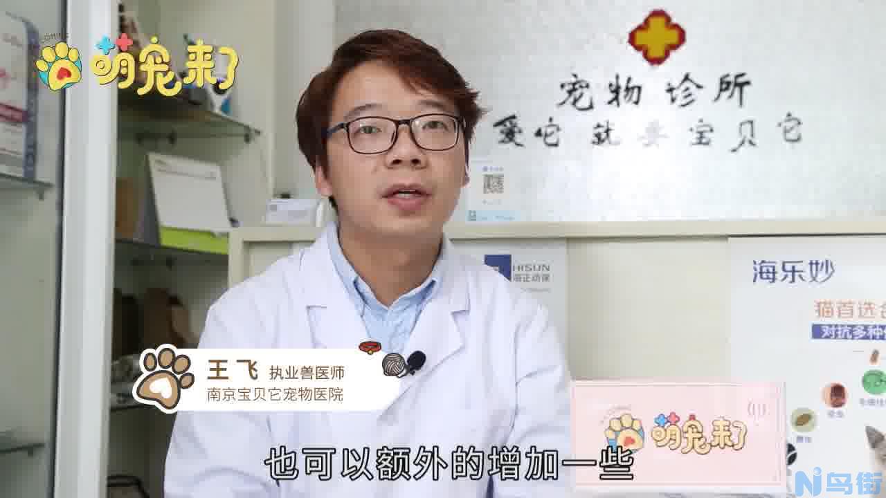 为什么第一窝狗不能留？