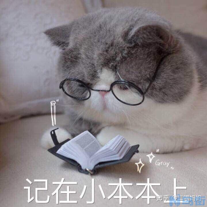 猫咪会换牙吗？