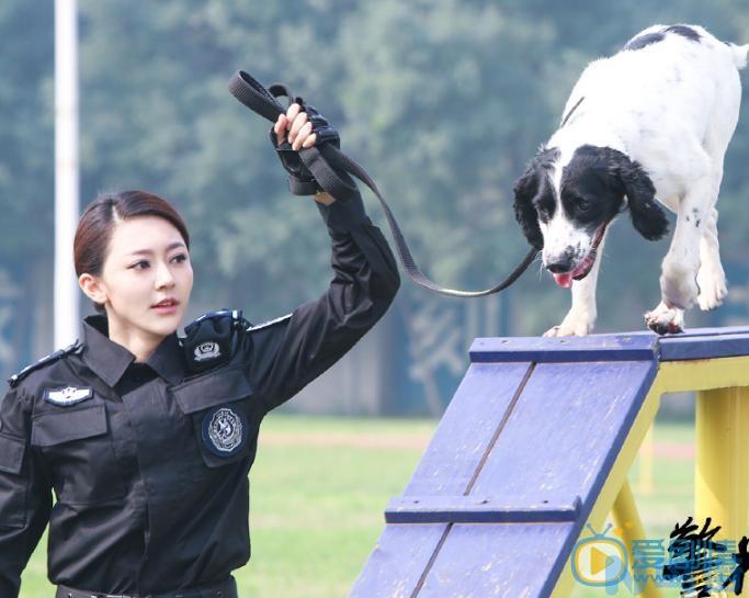 警犬是什么品种的狗？