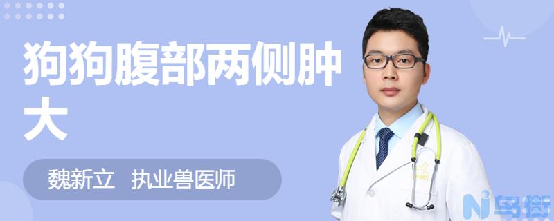 狗狗腹膜炎的病因？