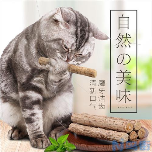 猫薄荷对猫有害吗？