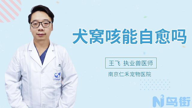 小狗咳嗽怎么办？