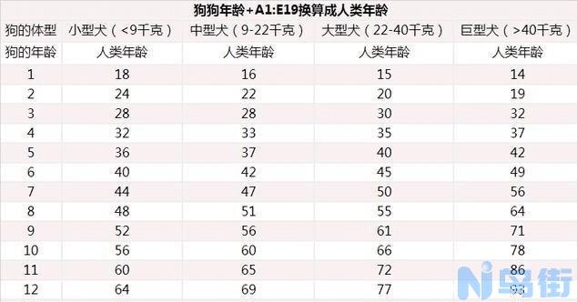 狗狗年龄牙齿对照表？