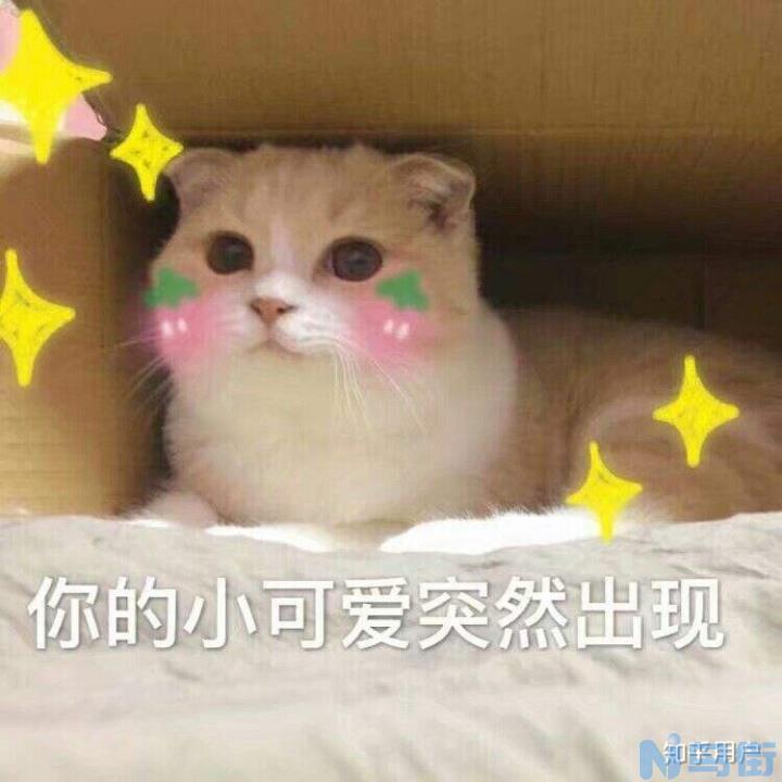 猫咪可以吃熟鸡蛋吗？