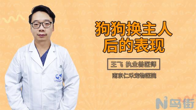 小狗吃自己的便便怎么办？