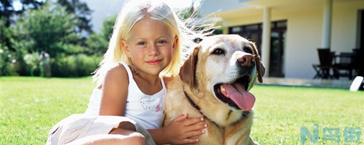 拉布拉多幼犬感冒咳嗽怎么办？