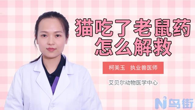 猫吃了老鼠药怎么解救？