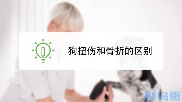 狗扭伤和骨折的区别？