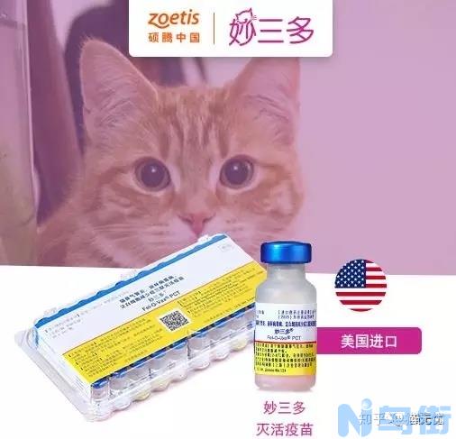 猫三联多久打一次？