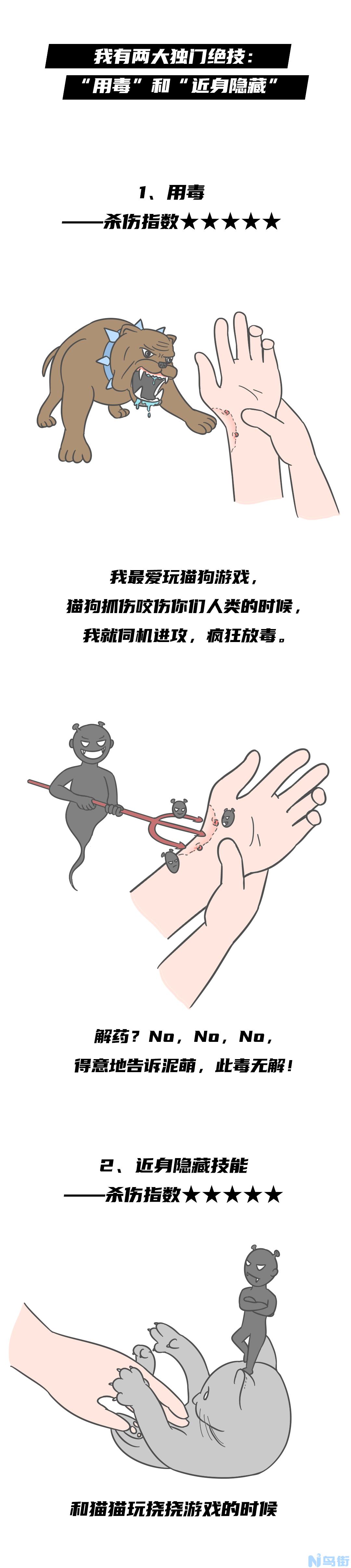 猫狂犬病症状？