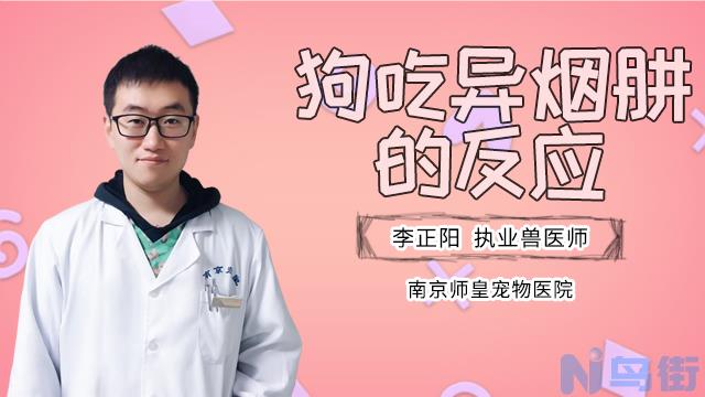 小狗肚子咕噜咕噜叫是怎么回事？