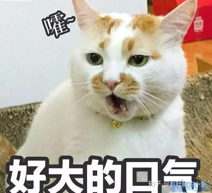 猫化毛膏每天都要吃吗？