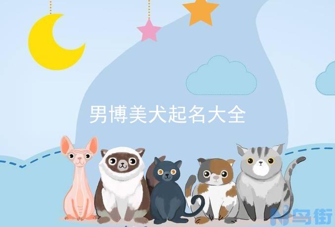 小猫应激反应多久能好？