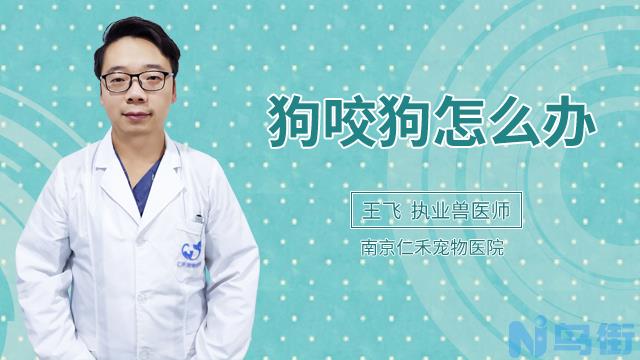 狗狗肠道划伤能自愈吗？