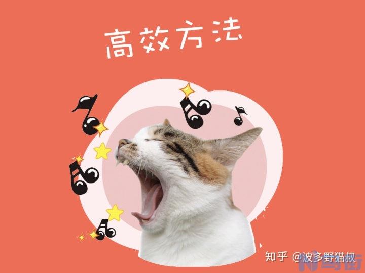 猫耳朵长螨虫？