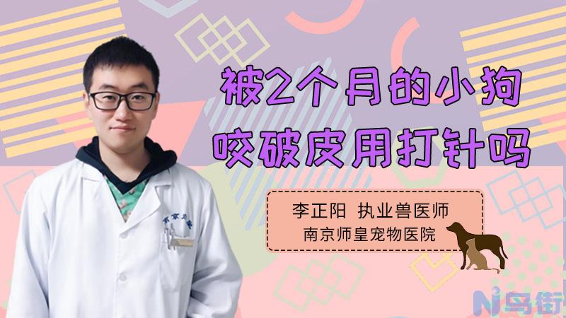 小狗得了细小？