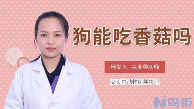 狗能吃小西红柿吗？