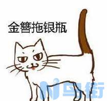 好听的橘猫名字？