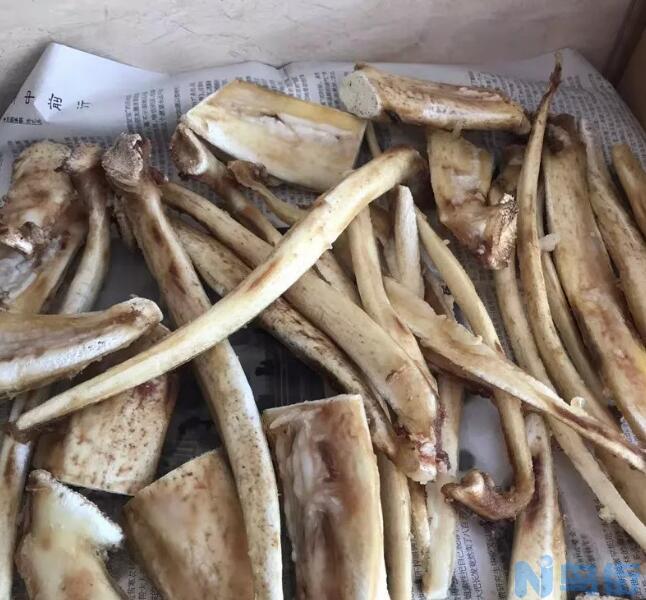 狗吃了磨牙棒能消化吗？