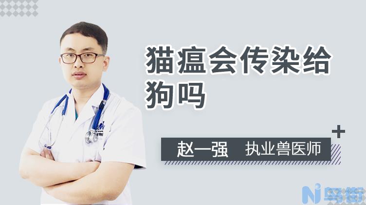 细小会传染给狗吗？